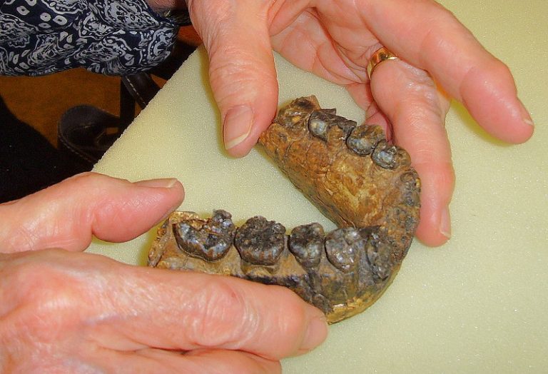 10 Oldest Things on Earth