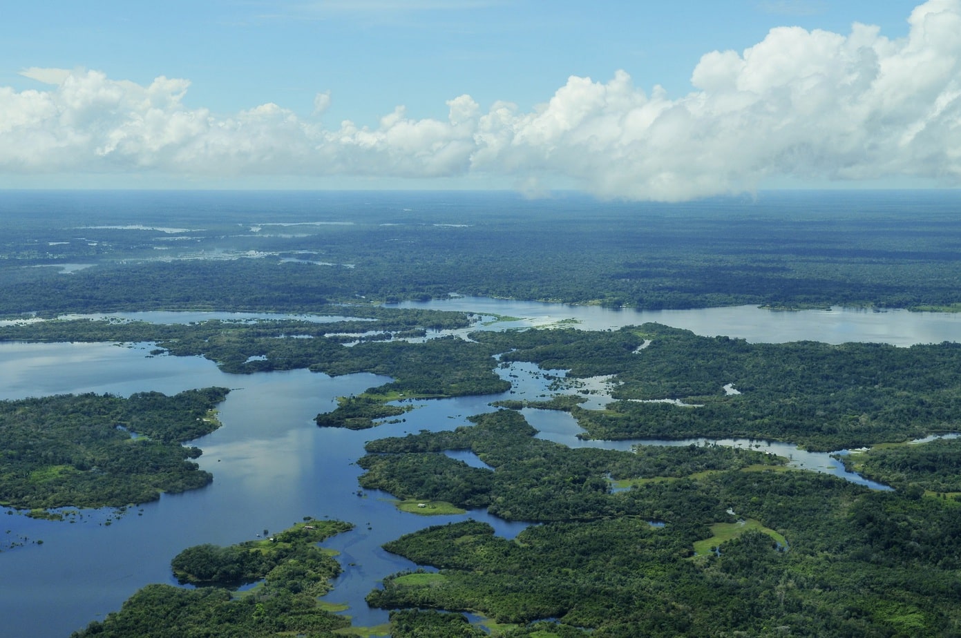 Amazon Rainforest