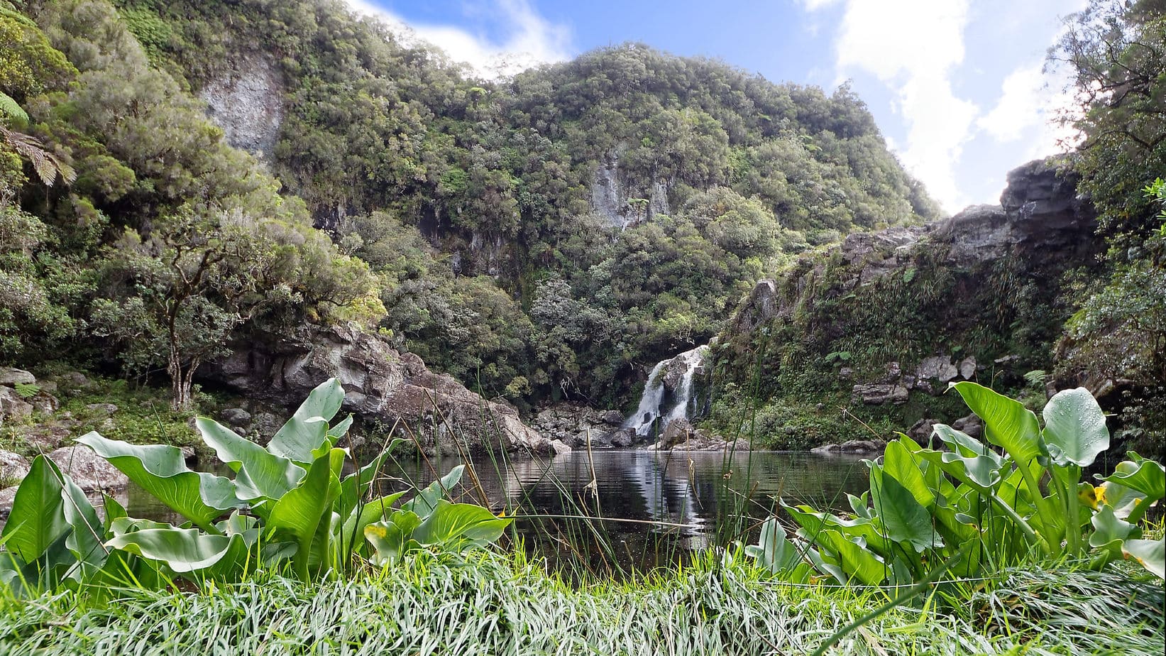 Réunion National Park