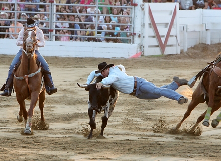 Cowtown Rodeo