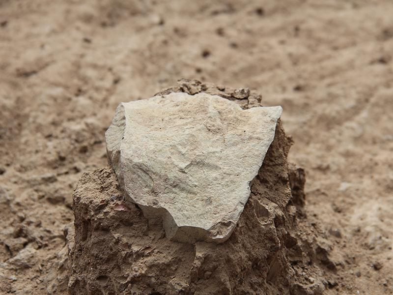 Lomekwi Stone Tools 