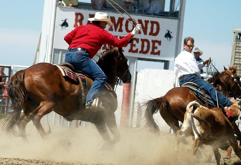 Raymond Stampede 