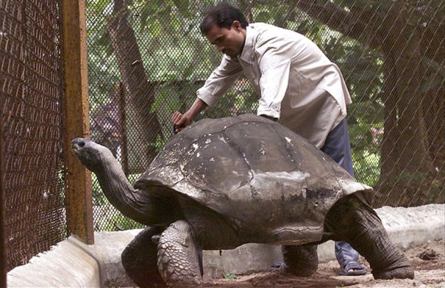 8 Oldest Living Animals in the World 8 Oldest Living Animals in the World