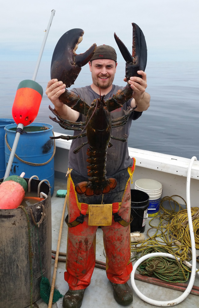 Big Dipper Lobster