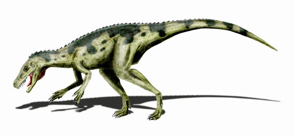 Herrerasaurus