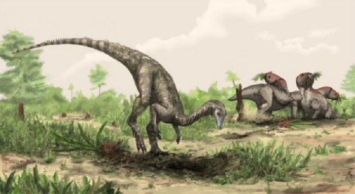 Nyasasaurus parringtoni