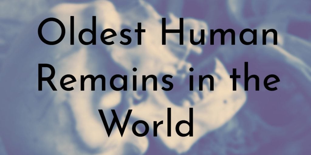 Oldest Human Remains in the World