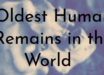 Oldest Human Remains in the World