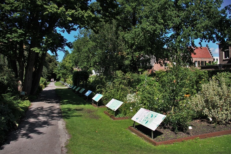 Hortus Botanicus Leiden