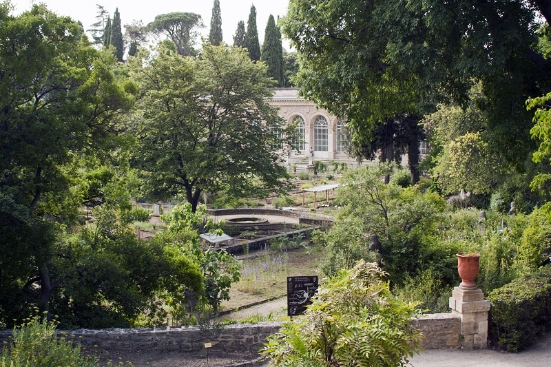 Jardin des plantes de Montpellier