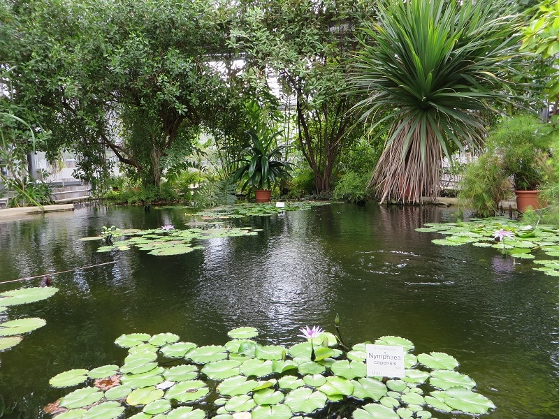 Leipzig Botanical Garden