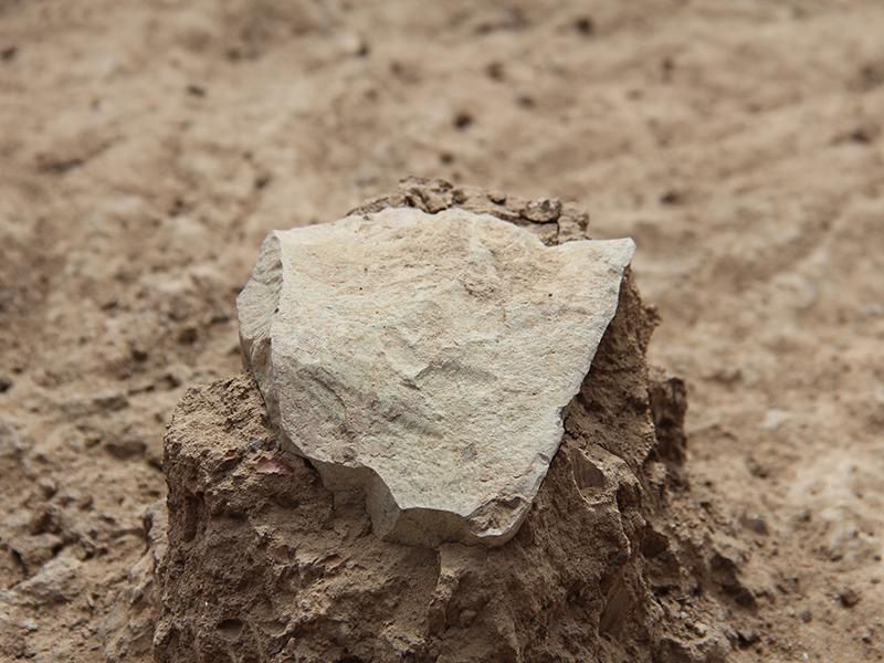 Lomekwi Stone Tools