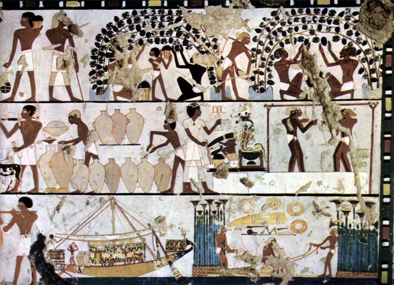 Ancient Egyptian Herbal Wines