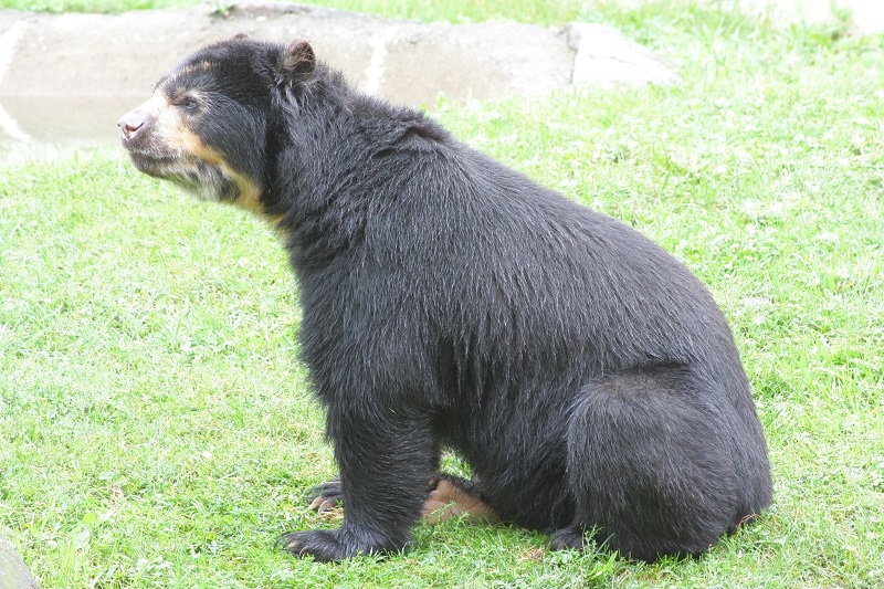 Binghamton Zoo at Ross Park