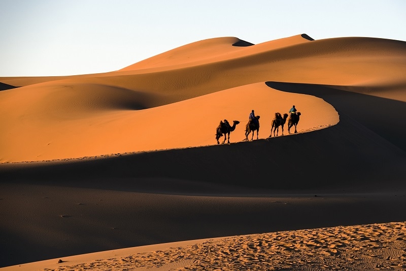 Gobi Desert