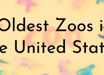 Oldest Zoos in the United States