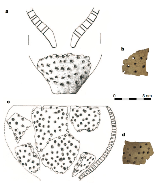 Ancient Polish Cheese