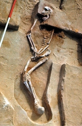 Mungo Man