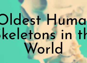 Oldest Human Skeletons in the World