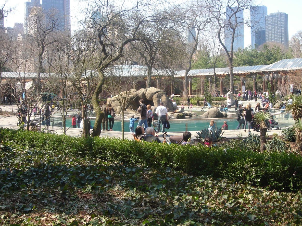 Central Park Zoo