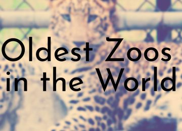 Oldest Zoos in the World