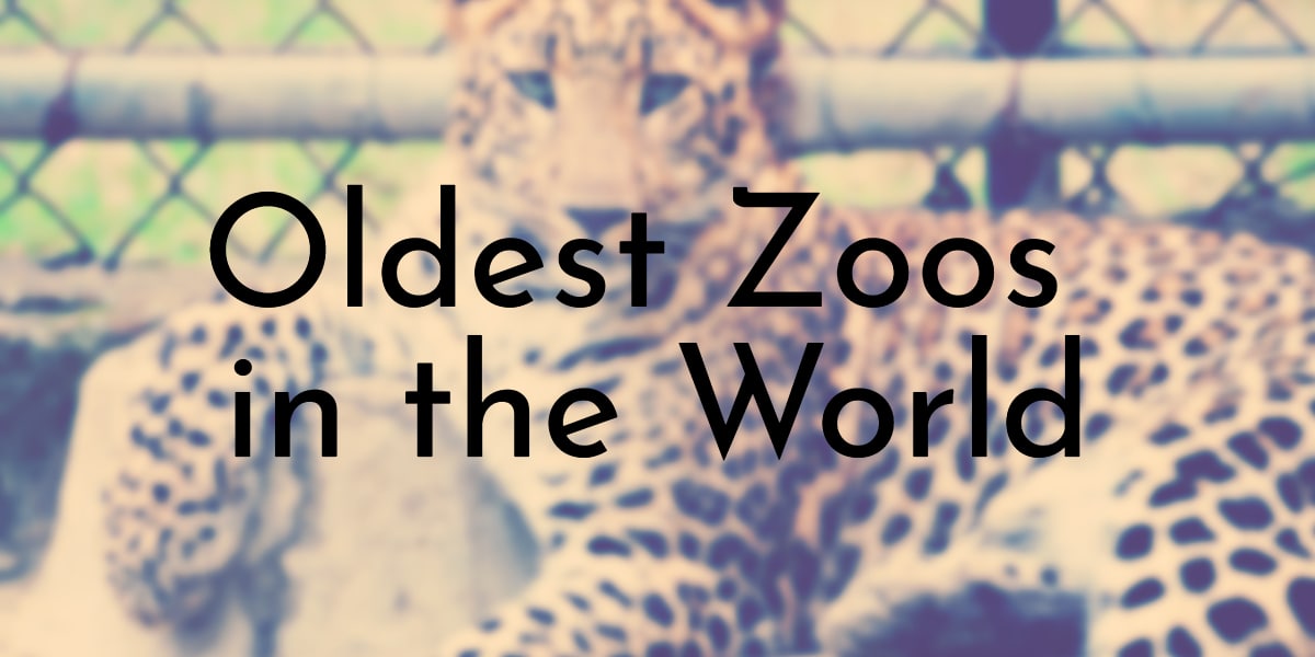 11 Oldest Zoos in the World 11 Oldest Zoos in the World