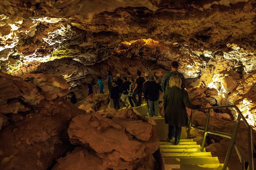 In Wind Cave National Monument, South Dakota