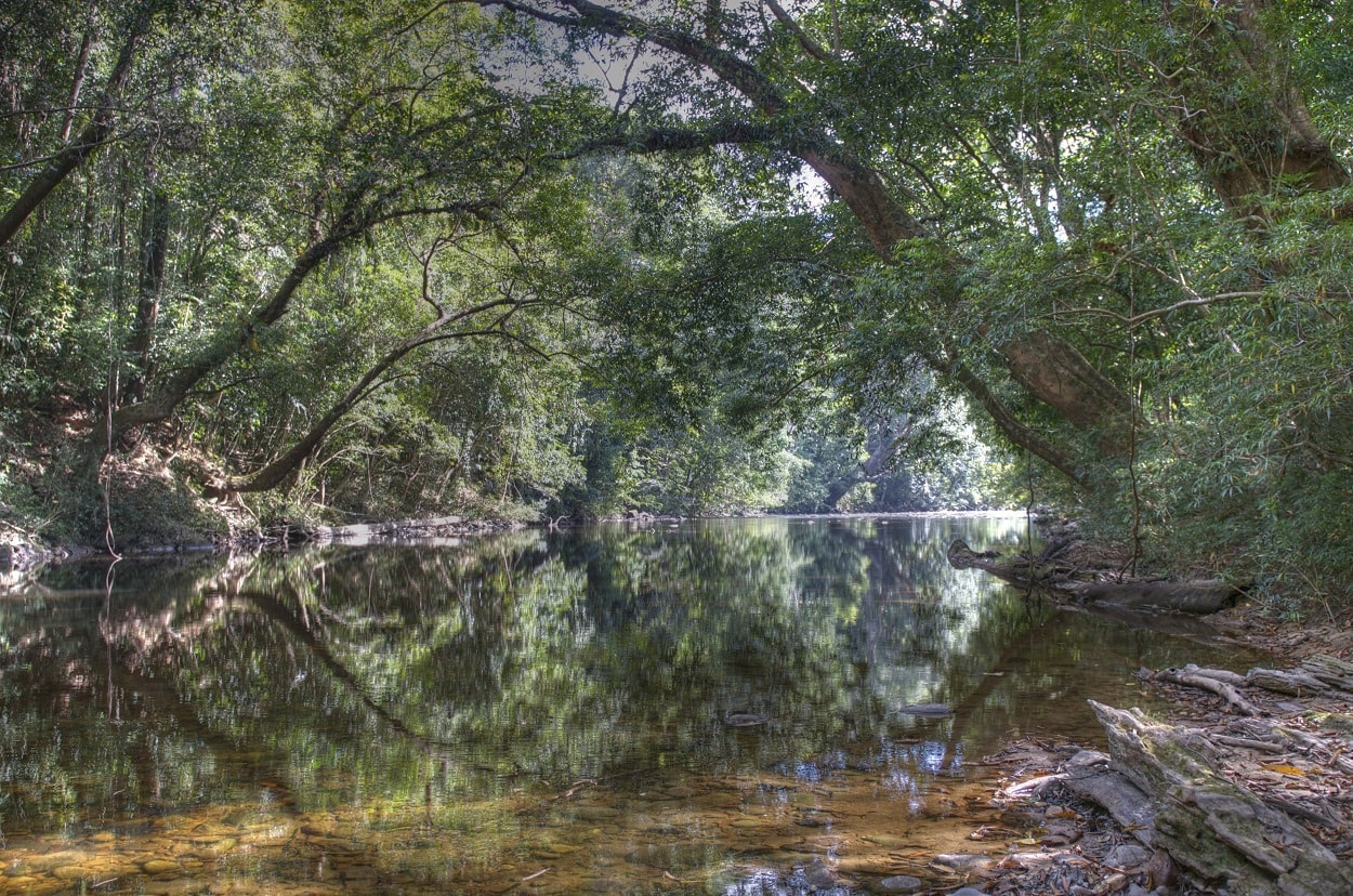 Taman Negara