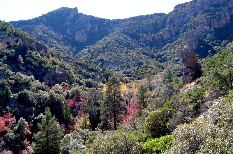 Galiuro Wilderness