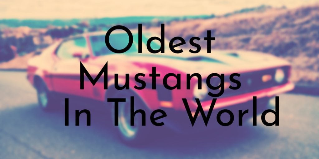 Oldest Mustangs In The World