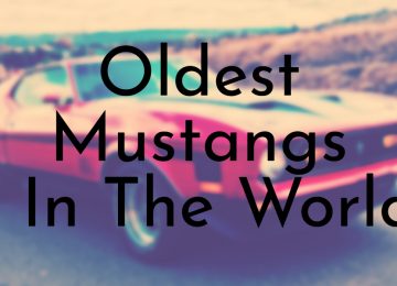 Oldest Mustangs In The World