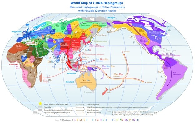 Haplogroup A00