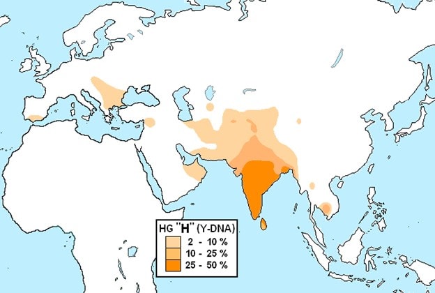 Haplogroup H