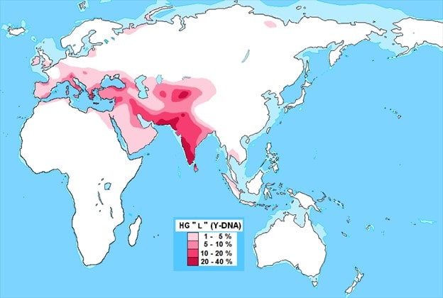 Haplogroup L