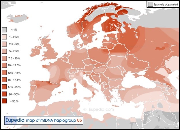 Haplogroup U