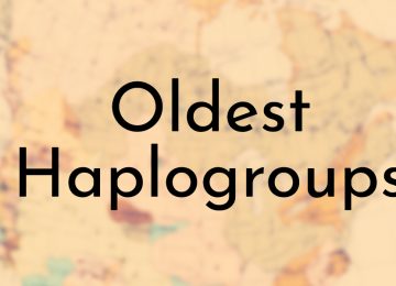 Oldest Haplogroups