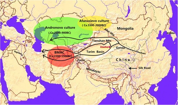 Tarim Basin