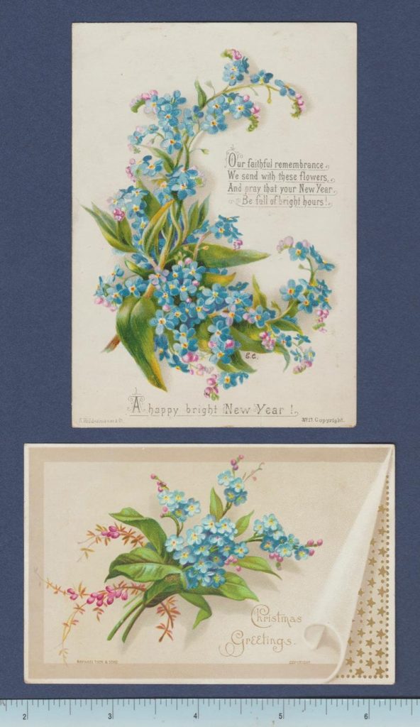 Forget-Me-Nots Holiday Greetings