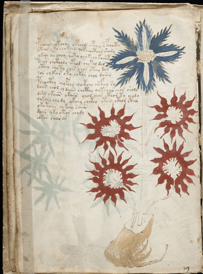 Voynich Manuscript