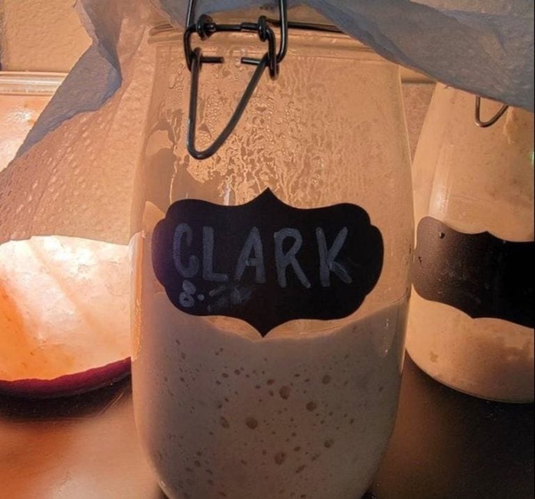 7 Oldest Sourdough Starters Ever in History