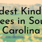 Oldest Kinds of Trees in South Carolina