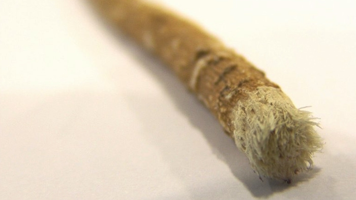 Babylonian Chew Sticks