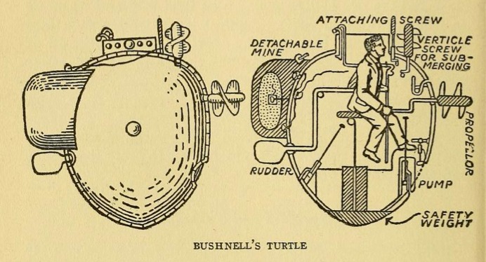 Turtle