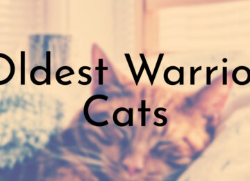 Oldest Warrior Cats