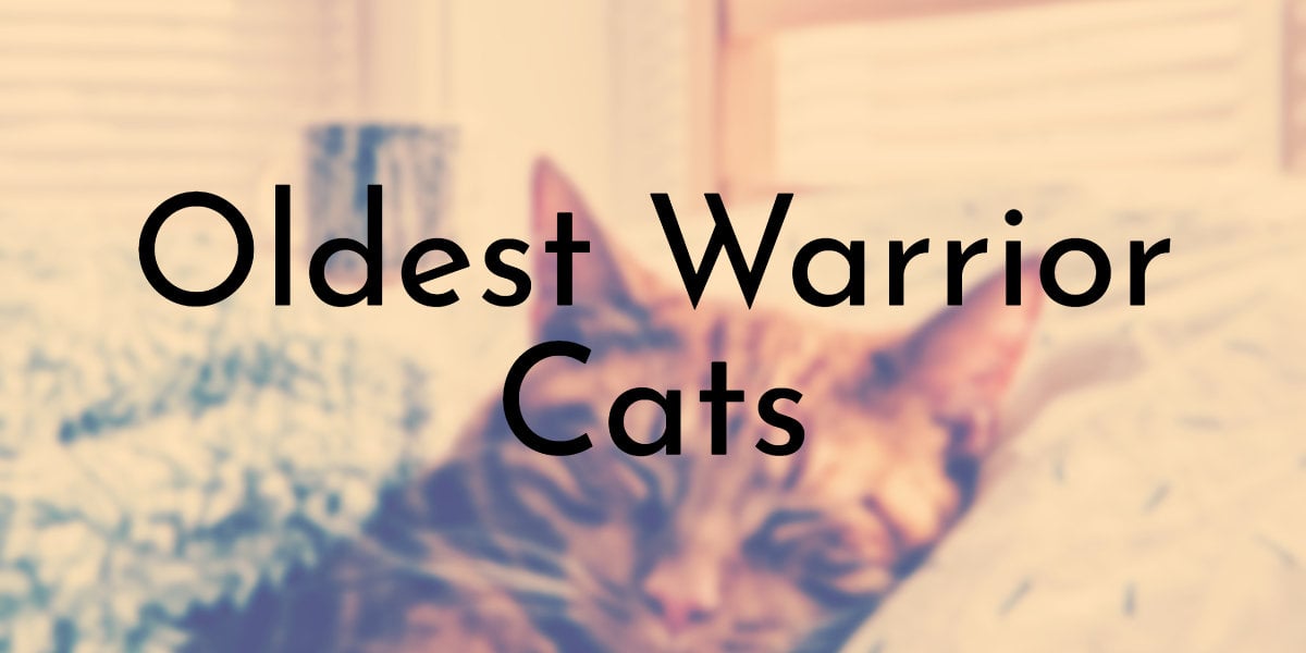 Oldest Warrior Cats