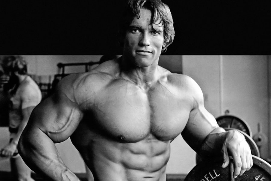 Arnold Schwarzenegger