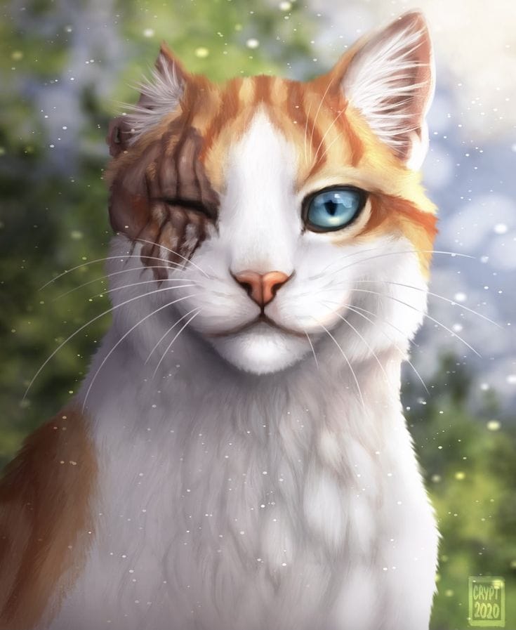 What If Firestar Joined WindClan?, Warrior Cat What Ifs?