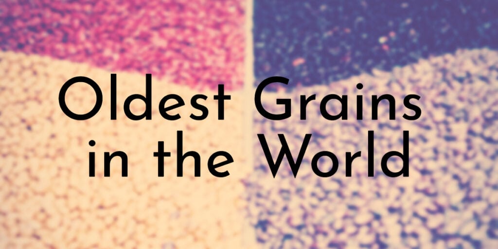 Oldest Grains in the World