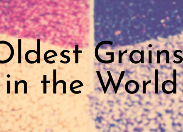Oldest Grains in the World