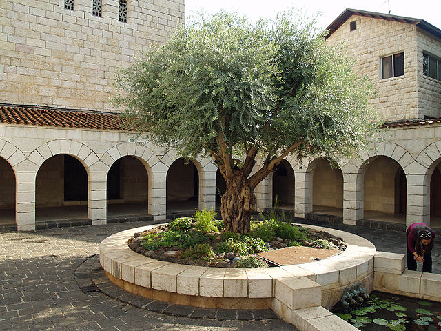 Church of the Multiplication, Tabgha